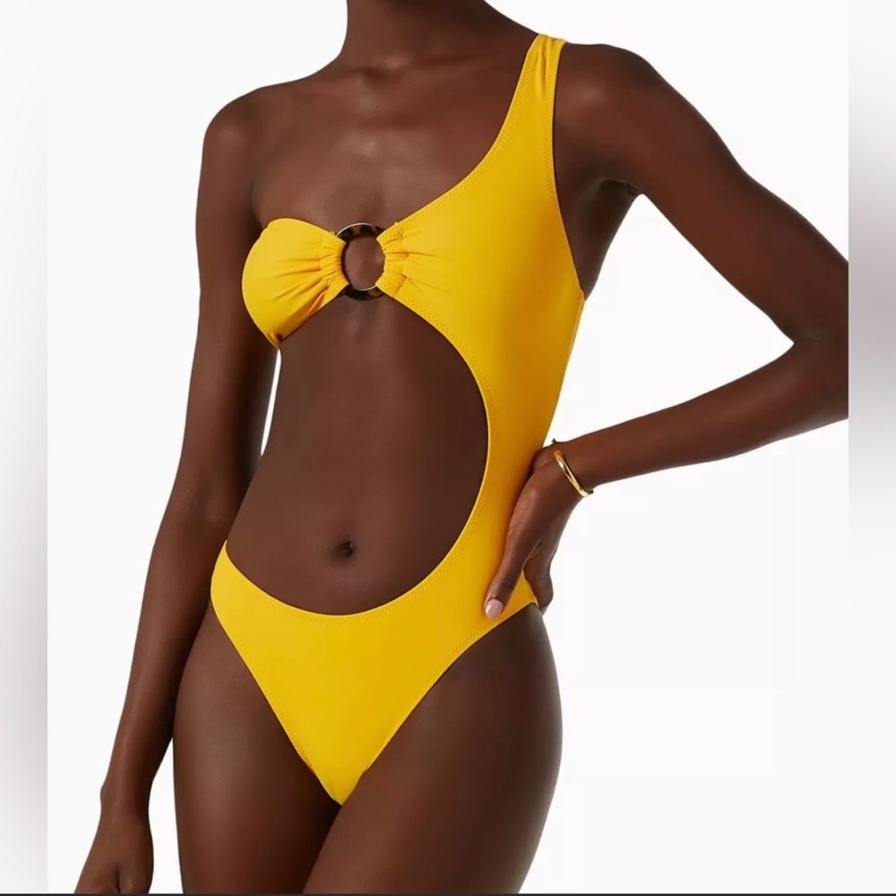 Solid & Striped The Astrid One-piece Swimsuit in Stretch Nylon